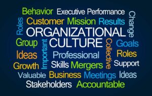 Sparkgroup - Transformation requires new culture to stick